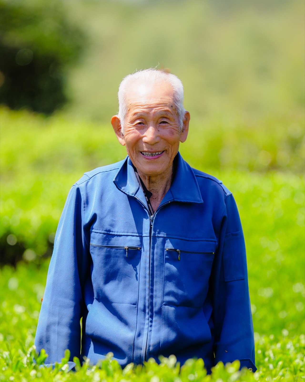 茶畑に立つお茶農家