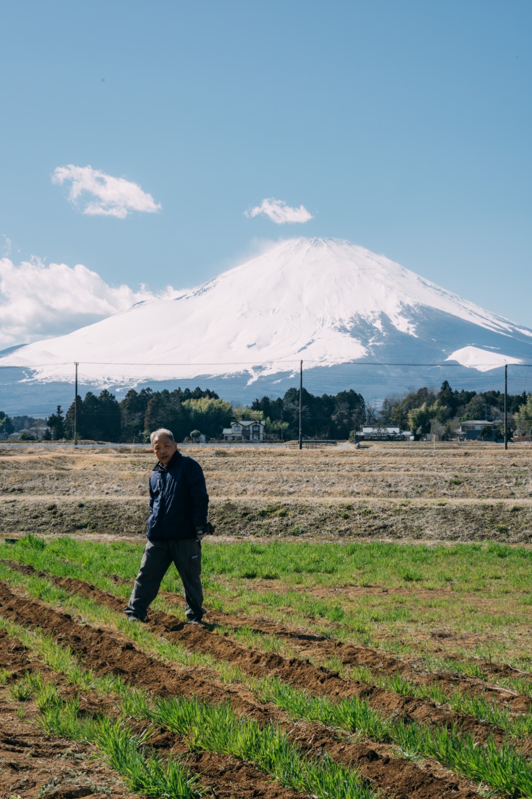 富士山を望む小山町の圃場に立つ農家