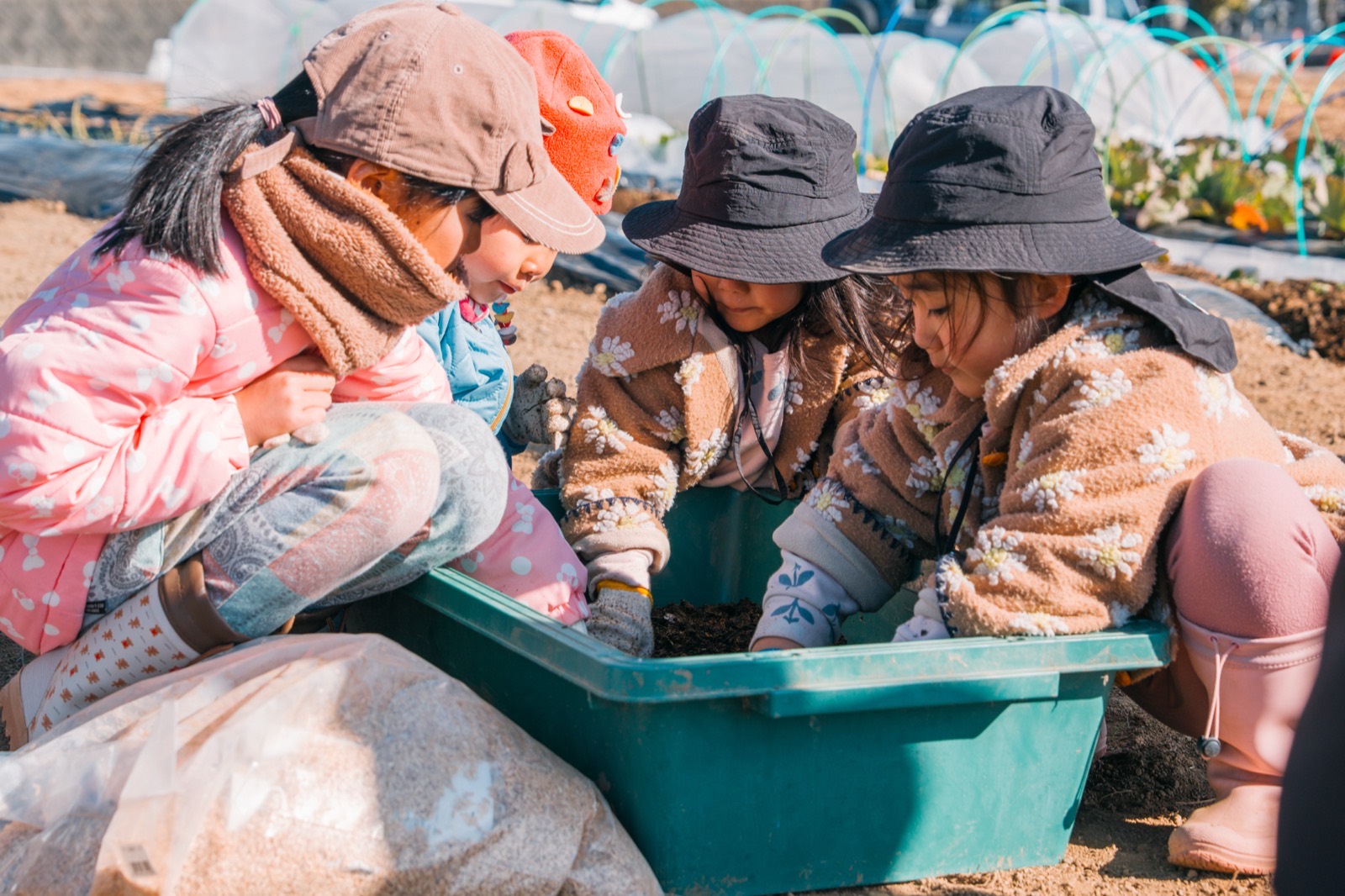 種を手にする子どもたち